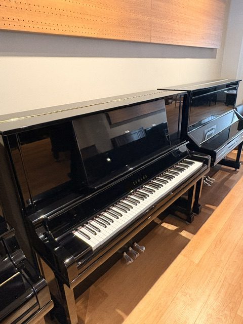UX30BL