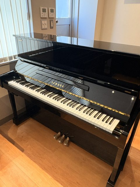 YM5SD